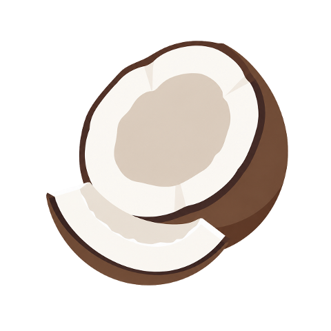 coconut-cut-coconut-coconut-flesh-10455043