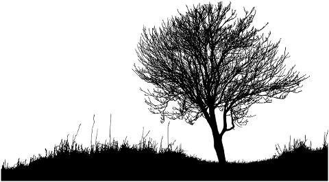 tree-landscape-silhouette-7617061