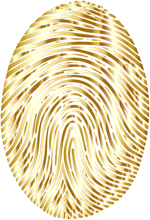 fingerprint-pattern-unique-id-9546032