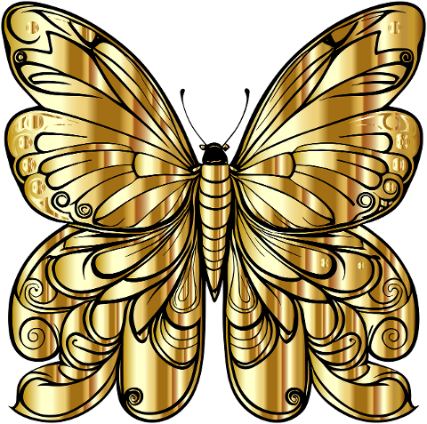 butterfly-insect-animal-wings-8188381