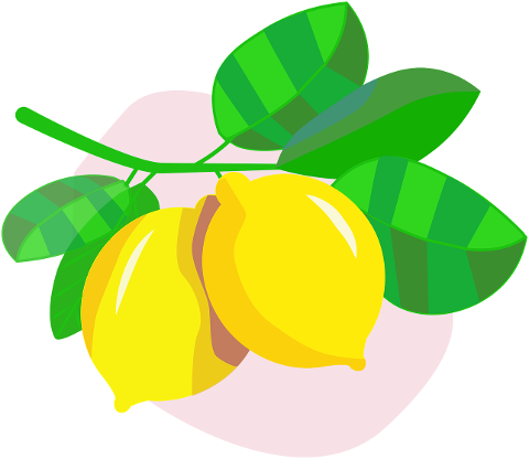 fruit-lemons-citrus-fruit-cutout-6683397