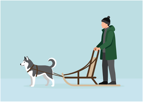 sled-mushing-dog-winter-arctic-10312641