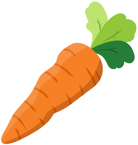 carrot-vegetable-vegan-healthy-7293859