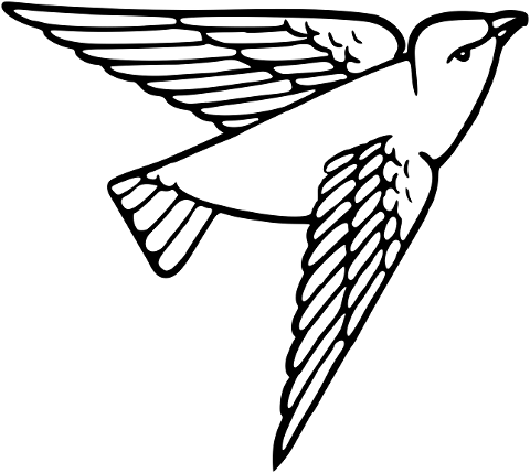 bird-animal-line-art-flying-bird-7185251