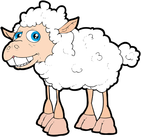 sheep-animal-wool-livestock-mammal-6314639