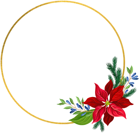 christmas-pointettia-flower-holiday-6882153