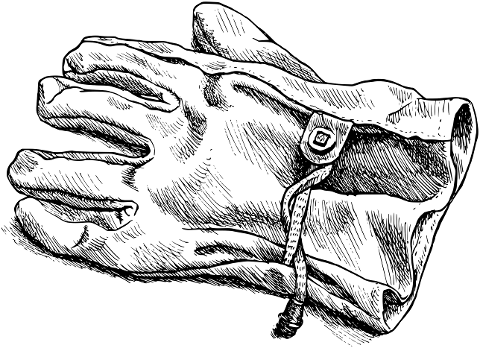 glove-work-gardening-garden-10145812