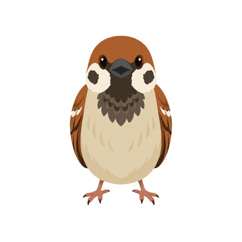 sparrow-cute-bird-cartoon-bird-10377429