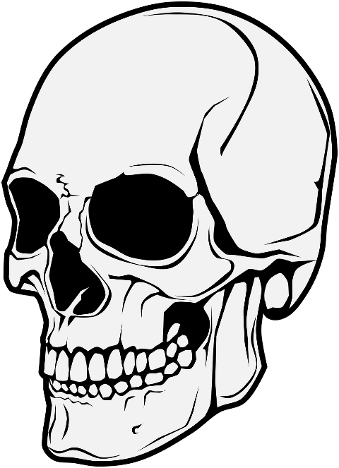 skull-death-horror-scary-dead-7320798