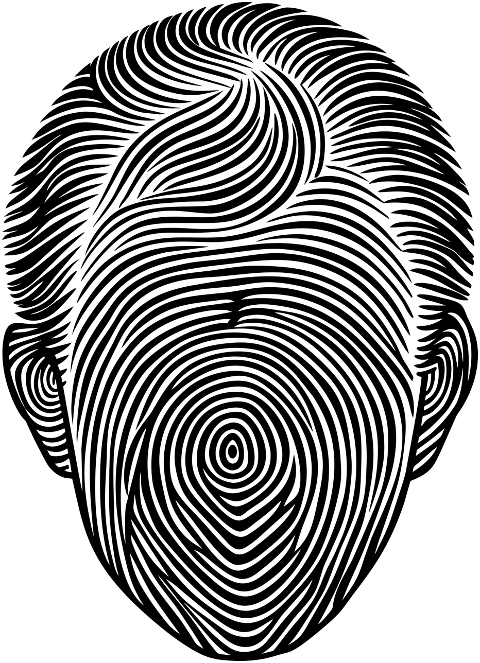 fingerprint-human-people-person-9556792