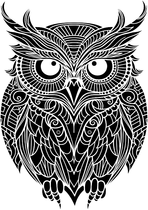owl-bird-animal-zentangle-flourish-8506560