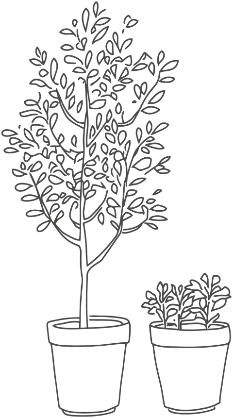 ai-generated-plant-pot-line-art-9099279