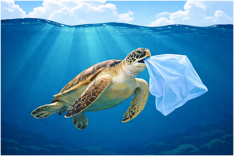 sea-turtle-plastic-ocean-pollution-10181392