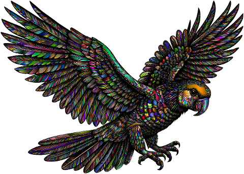 parrot-bird-animal-ornithology-9588139