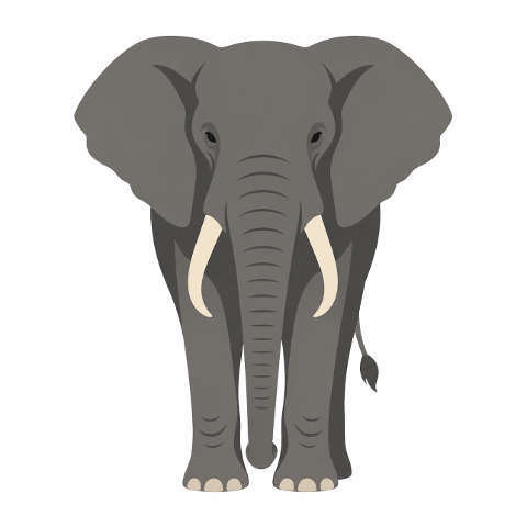 elephant-african-elephant-animal-10388618