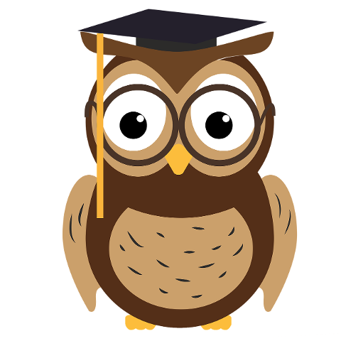 owl-education-academic-wisdom-6246114