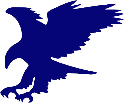 bird-eagle-hawk-logo-animal-6577857