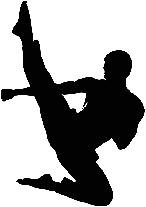 martial-arts-karate-taekwondo-9967801