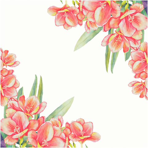 flowers-dots-floral-frame-border-6081362