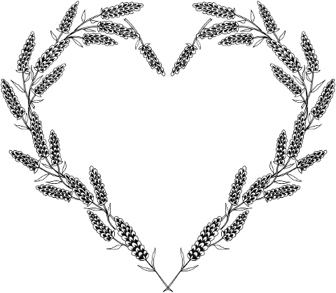 heart-lavender-flowers-love-symbol-7681766