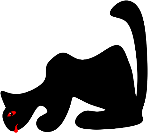 cat-black-pet-wild-nature-feline-7226312