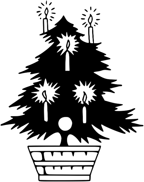 christmas-tree-christmas-7666195
