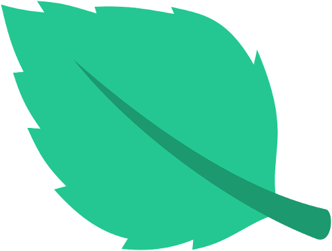 green-leaf-plant-nature-spring-9850199