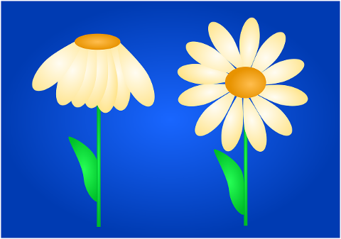 mothers-day-copy-space-daisy-9880096