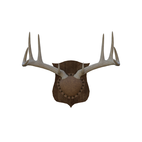 horns-mount-leather-plaque-rivets-4931185