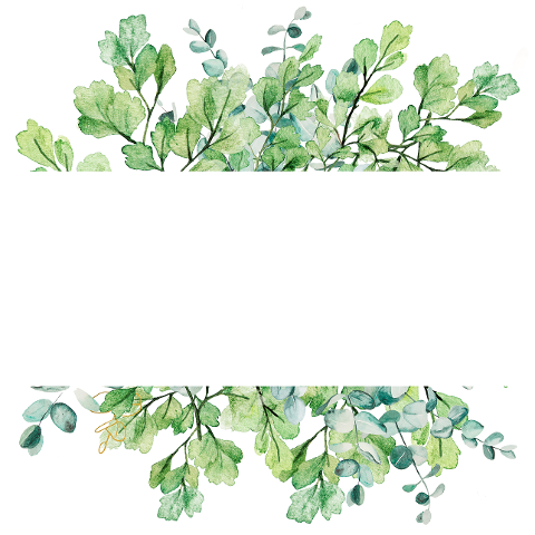 leaves-foliage-frame-banner-green-6747942