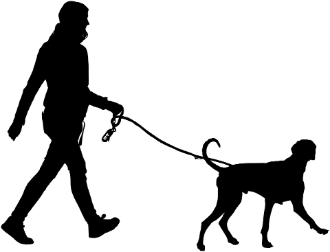 walking-the-dog-out-for-a-walk-7258813