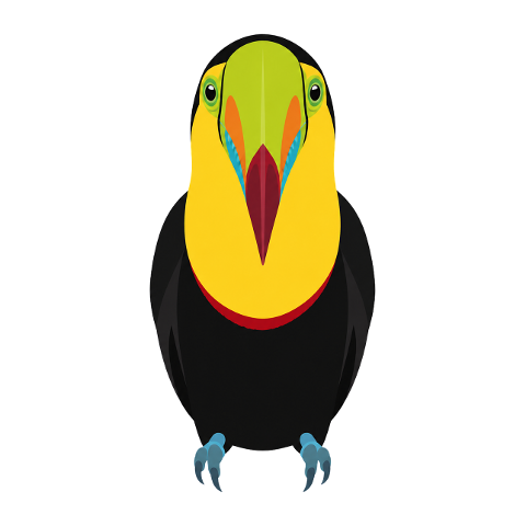 toucan-wildlife-tropical-bird-beak-10355160