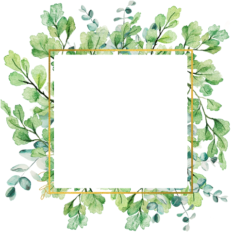 leaves-foliage-frame-banner-green-6746513