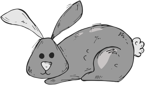 the-hare-animal-nature-mammal-cute-4888445