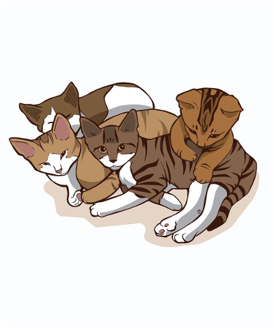 cat-kittens-pet-cute-animal-5203338