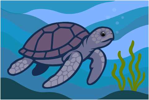turtle-nature-animal-gad-ocean-9698599