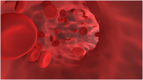 red-blood-cell-vessel-hemoglobin-4807218