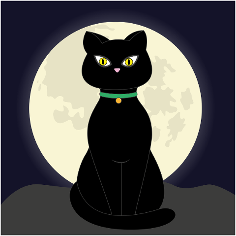 cat-full-moon-night-moon-halloween-5471812