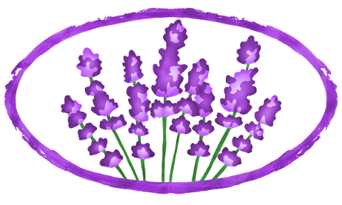 lavender-flowers-provence-purple-5128313