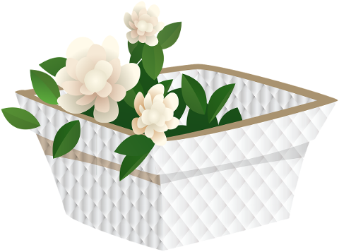 flowers-in-basket-floral-white-4799539