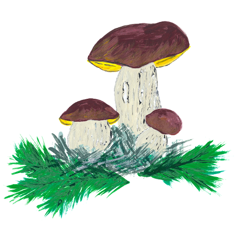 fungus-mushrooms-watercolor-6212236