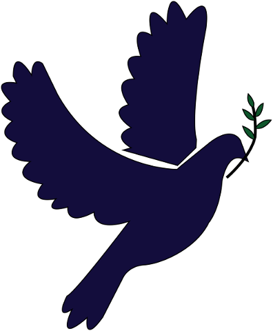 dove-wings-peace-fly-flying-5691230