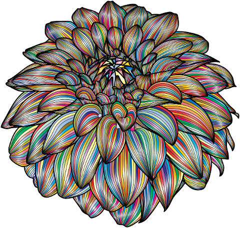 dahlia-flower-decoration-line-art-7631836
