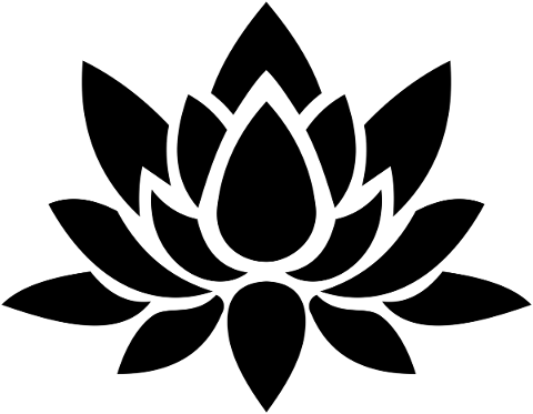 lotus-flower-silhouette-floral-4776450
