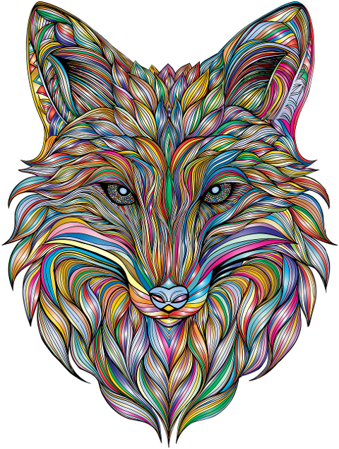 fox-animal-head-face-canine-9503632