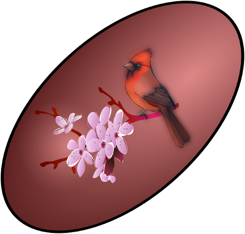 bird-nature-animal-feathers-10235096