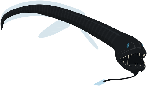 animal-black-dragonfish-fish-cutout-9245448