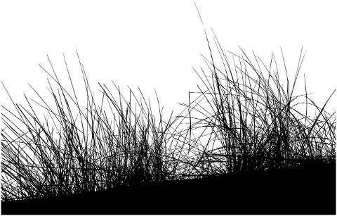 grass-meadow-silhouette-plants-5989308
