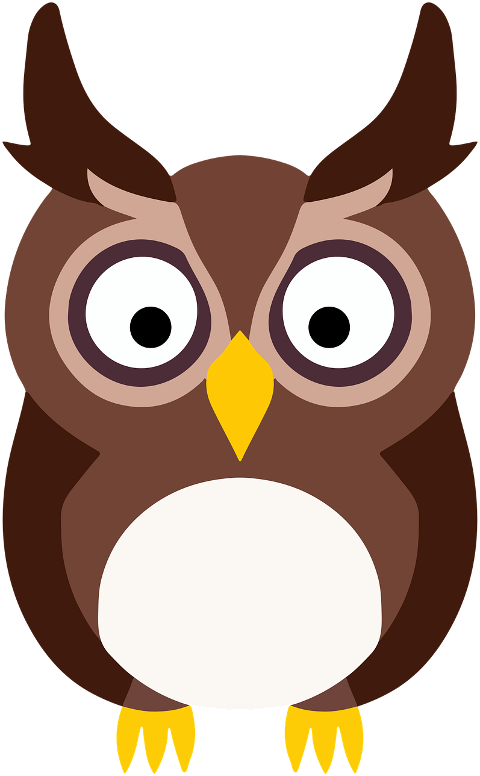 owl-bird-cartoon-owl-cartoon-bird-7515292