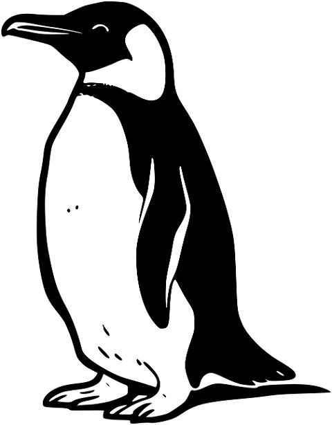 bird-penguin-ornithology-species-8691025